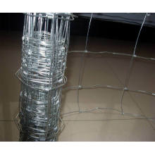 Galvanized Steel Cattle Fence/Grassland Field Fence/Poultry Mesh Fence